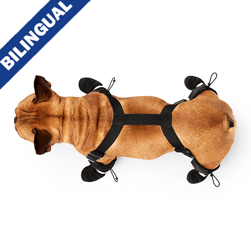 Long best sale dog boots