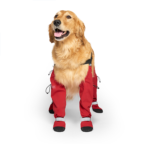 Canada Pooch® Suspender Boots Red Natural Pet Foods