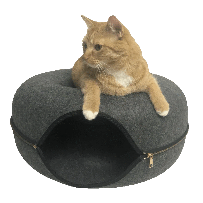 Convertible cat bed deals