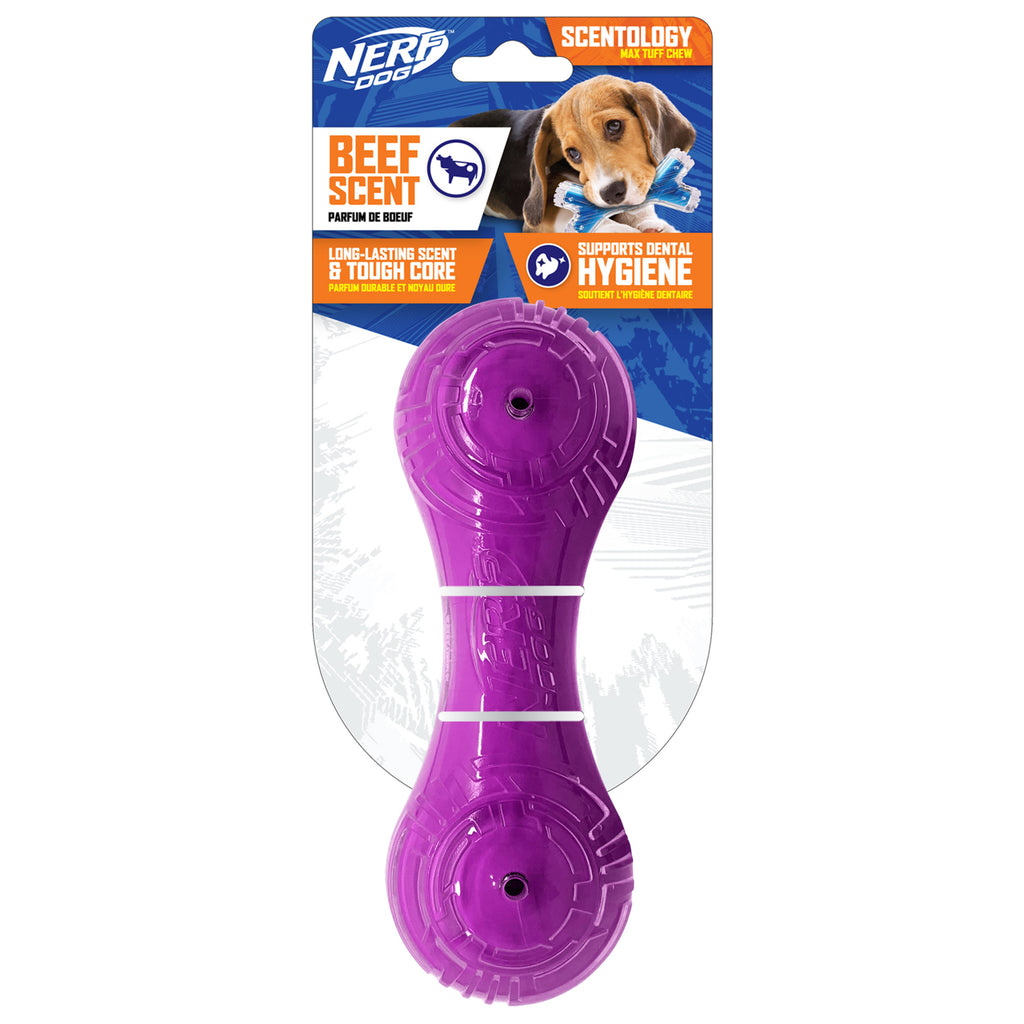 Nerf Dog Scentology Barbell - Beef Scent - Purple - 18 cm (7 in) SALE |  Natural Pet Foods