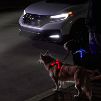 RC Pets Nova LED Light Harness (NEW)