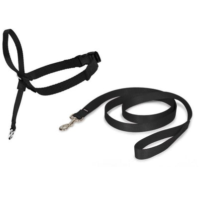 PetSafe Easy Walk Head Collar Large Black Dog SALE