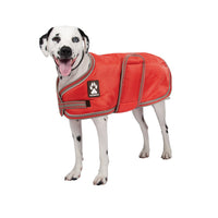 Shedrow K9 Vail Dog Coat Equestrian Red