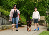 Canine Equipment Adjustable Bungee Coupler - Natural Pet Foods