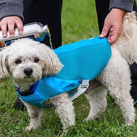 Canine Equipment Ultimate Cooling Coat SALE - Natural Pet Foods