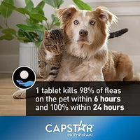 Capstar™ Fast Acting Oral Flea Treatment (Dog & Cat)