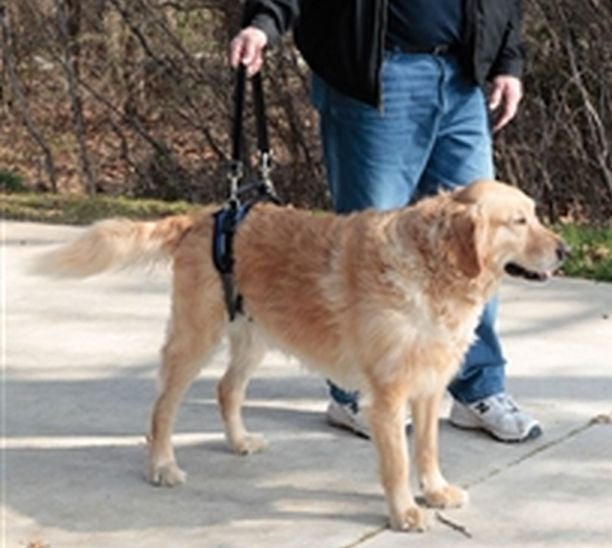 Carelift rear only lifting harness Clearance