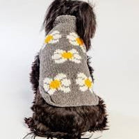 Chillydogs Sweater Daisy 3xlarge SALE - Natural Pet Foods