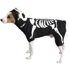 Ethical Skeleton Costume - Natural Pet Foods
