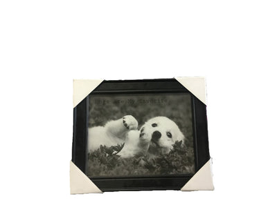 Framed Wall Art - Hugs Are My Favorite - Natural Pet Foods
