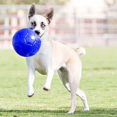 Jolly Pets - Jolly Soccer Ball - Natural Pet Foods