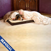 K&H Memory Sleeper Medium Dog Bed SALE - Natural Pet Foods