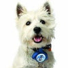 Leash Locket SALE NOW ONLY $4.99 - Natural Pet Foods