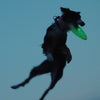 Nite Ize® Flashflight™ Dog Discuit™ LED Flying Disc