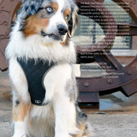 Pretty Paw Dog Harness Berlin Steel (NEW) - Natural Pet Foods