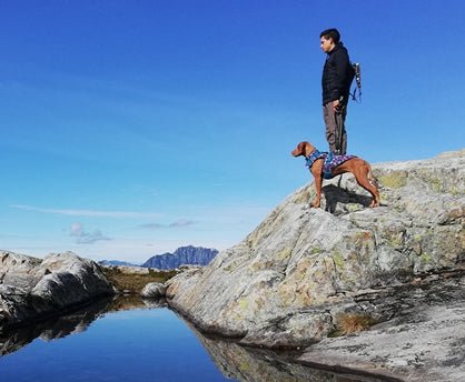 RC Pets Shasta Blue Buffalo Plaid SALE Natural Pet Foods