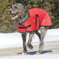 Shedrow K9 Tundra Dog Coat - Red - Natural Pet Foods