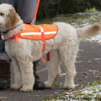 Ultra Paws Safety Vest-Small - Natural Pet Foods