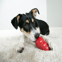 Kong® Classic Dog Toy