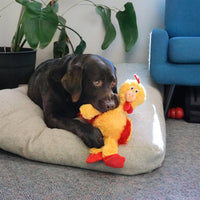 KONG Knots Chicken Medium / Large (NEW)