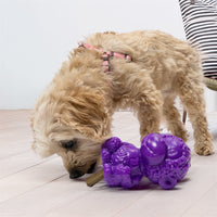 KONG Rewards Zoolooz Monkey Medium