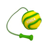 KONG Bunji High-Viz Ball Assorted Large