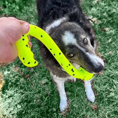 KONG Reflex Tug 'n Fetch