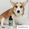 Kin + Kind - Dry Skin & Coat Shampoo for Dogs (Cedar) 12 oz