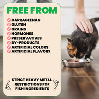 Almo Nature HQS Natural Cat Food - Chicken With Pumpkin In Broth 70g