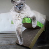 Outward Hound® Petstages® Invironment Easy Life Hammock Scratcher