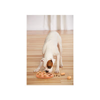 Outward Hound® Nina Ottosson® Dog Smart Composite Dog Puzzle (NEW)