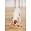 Outward Hound® Nina Ottosson® Dog Smart Composite Dog Puzzle (NEW)
