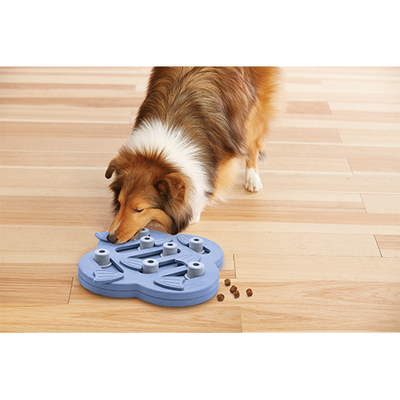 Outward Hound® Nina Ottosson® Hide N' Slide Dog Puzzle