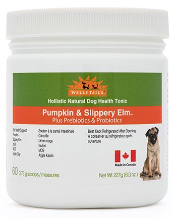 Wellytails Gut Prebiotics Plus Pumpkin And Slippery Elm Dog 227g