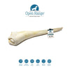 Open Range Bull Tail Full Length Dog (NEW)