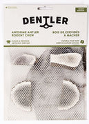 Dentler Antler Rodent Chew Small Animal 1pc