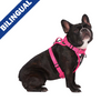 Canada Pooch® The Everything Harness Mesh Series Floral