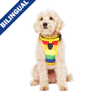 Canada Pooch® The Everything Harness Mesh Series Rainbow