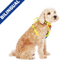 Canada Pooch® The Everything Harness Mesh Series Rainbow