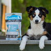 PureBites® Lamb Recipe Dog Food Topper for Dogs