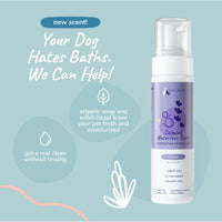 Kin + Kind Lavender Calm Waterless Bath  For Dog And Cat  8 oz