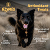 Nzymes Antioxidant Treats 60 tablets