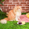 Hugsmart Meow Buddies Kitten Party 2pk - Cheese & Wine