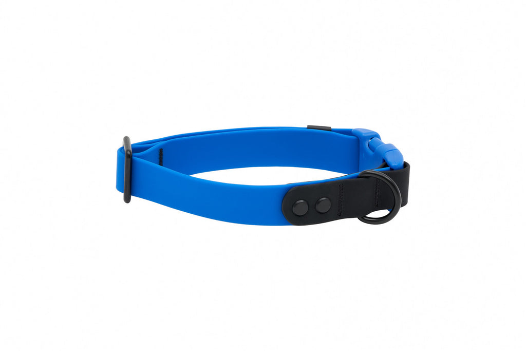 RC Pets Waterproof Collar Sapphire/Black