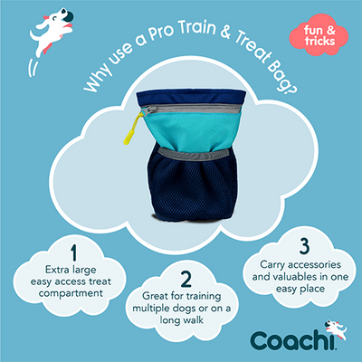 Company of Animals® Coachi® Pro Train & Treat Bag Navy & Light Blue