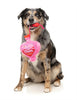 FuzzYard Dog Toy - Valentines Day Tail Chaser Perfume (NEW)