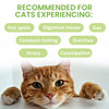 Under the Weather Cat Supplements Squeezable Gel Ready Balance