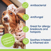 SWEDERMA Therapeutic KETO-C Shampoo for Dogs & Cats (Cucumber Melon)