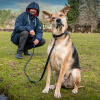 RC Pets Waterproof Collar Black