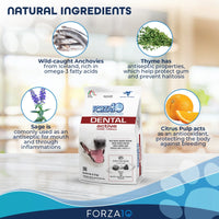 Forza 10 Oral Active (Dental) Dog Food